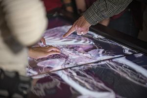 Students' hands point to different parts of an image of the inside of a human body.